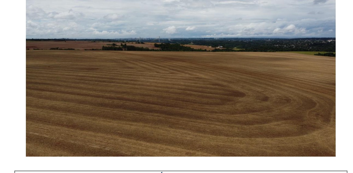 Vista da área agrícola anunciada em Presidente Franco